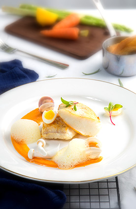 ����רҵѧ����Ʒ