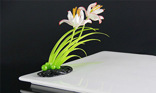 ѧϰ����ͼƬ4