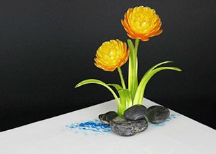 ����ѧ����Ʒ